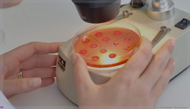 Limpadores de superfície probióticos podem reduzir infecções hospitalares