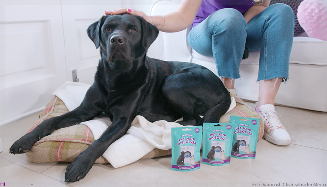Marca cria produto que dissolve pelos de animais das roupas durante a lavagem