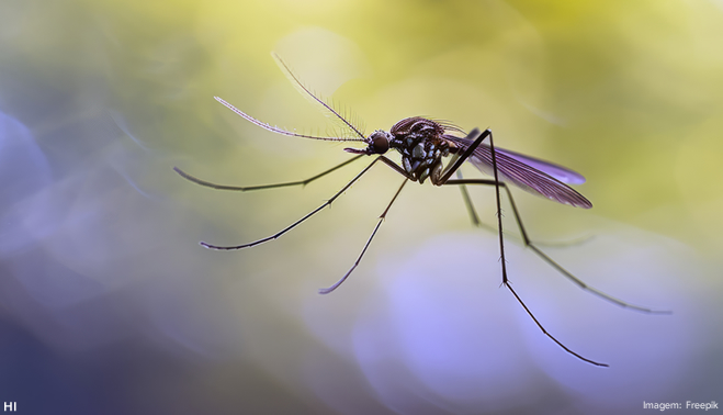 Cânhamo e CBD apresentam 100% de eficácia no combate a larvas do Aedes aegypti